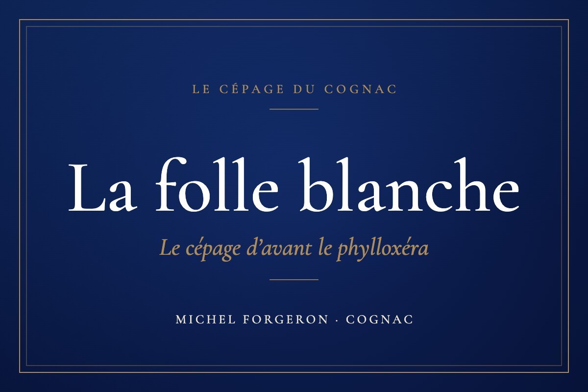 La folle blanche : le cépage qui a fait le cognac
