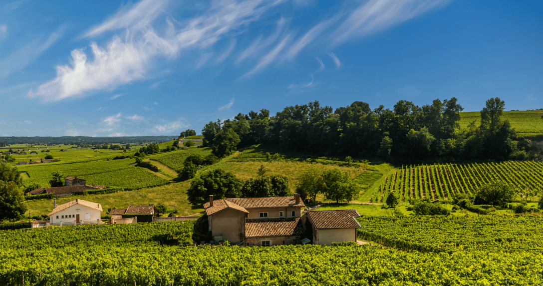 Cognac and its history