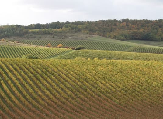 Weinberg
